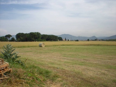 Foto Rustico in del castellaccio, Lucca Matraia - Valgiano di 240 m²