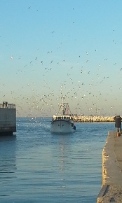 Foto Locale commerciale in Via dei Mille 44, Rimini Centro Storico di 26 m²