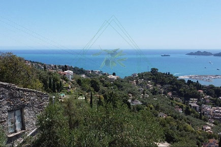 Foto Rustico in Via Don Minzoni, Rapallo San Maurizio - Montallegro