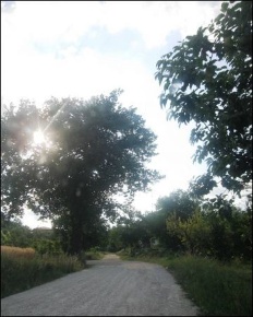Foto Rustico a Offida Centro di 160 m² con 1 locali in vendita