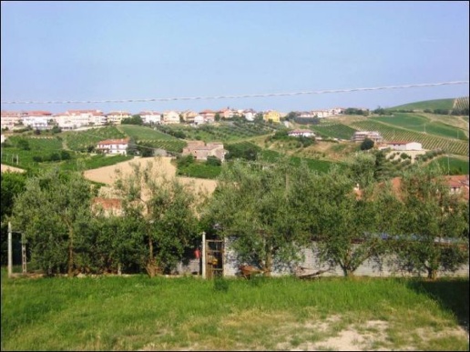 immagine annuncio 4 di 12