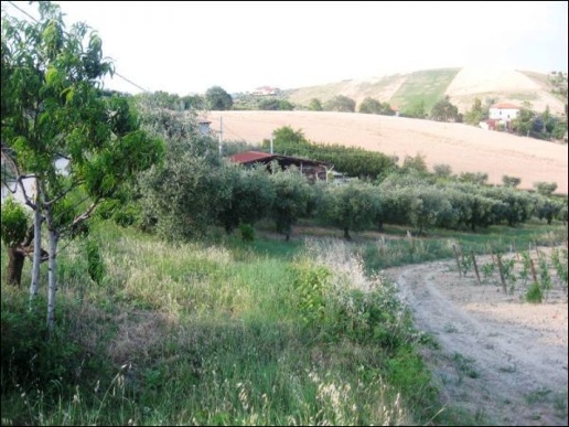 immagine annuncio 8 di 12