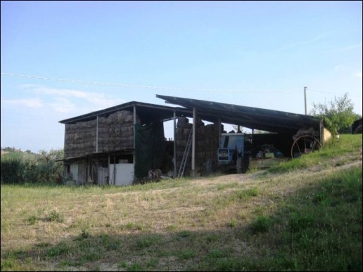 immagine annuncio 9 di 12