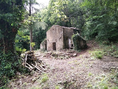 Foto Rustico a Roccastrada di 65 m² con 2 locali in vendita