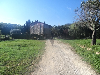 Foto Rustico in Via di Tiglio 785, Capannori di 200 m² con 8 locali