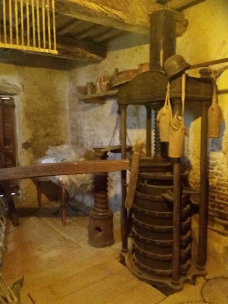 immagine annuncio 6 di 15