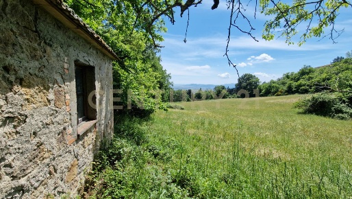 Foto Rustico a Roccastrada di 18 m² con 1 locali in vendita