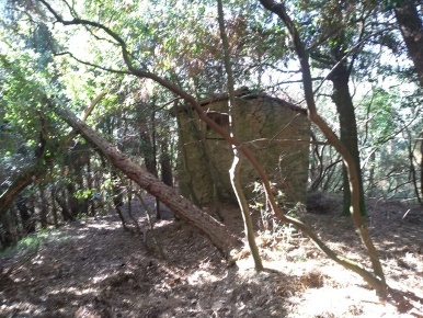 Foto Rustico a Massarosa di 15 m² con 1 locali in vendita