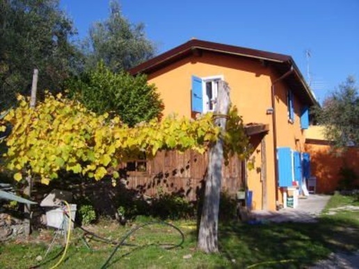 immagine annuncio 1 di 11