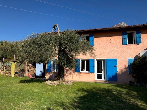 immagine annuncio 3 di 11