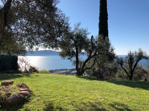 immagine annuncio 8 di 11