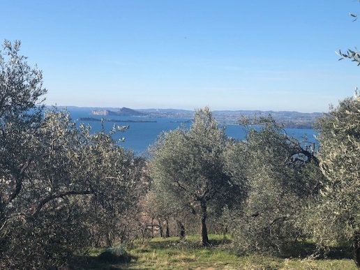immagine annuncio 9 di 11