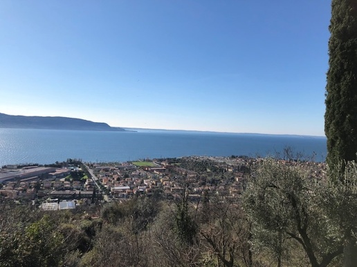 immagine annuncio 10 di 11
