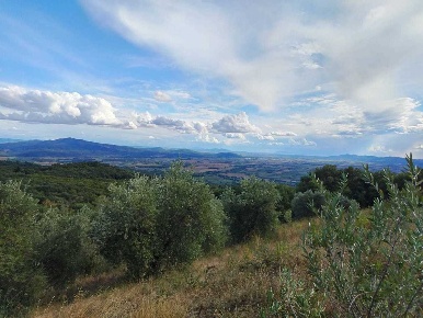 Foto Rustico in Località Le Coste, Roccastrada di 170 m² con 9 locali