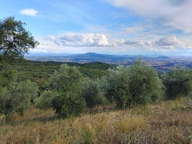 Foto Rustico in Località Le Coste, Roccastrada di 170 m² con 9 locali