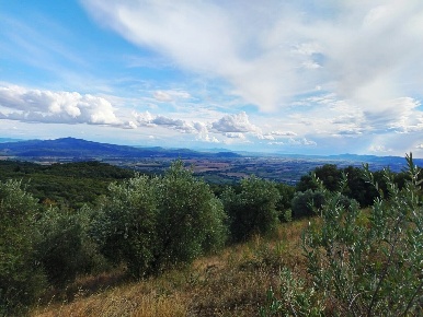 Foto Rustico in Località Le Coste, Roccastrada di 170 m² con 9 locali