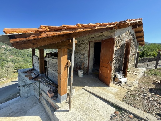 immagine annuncio 1 di 14