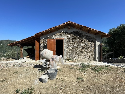 immagine annuncio 3 di 14