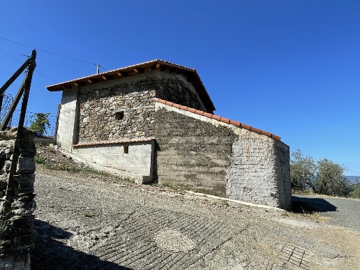 immagine annuncio 12 di 14