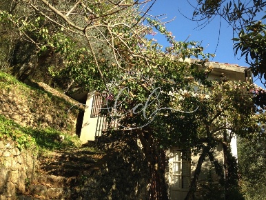 Foto Rustico a Pietrasanta di 60 m² con 3 locali in vendita