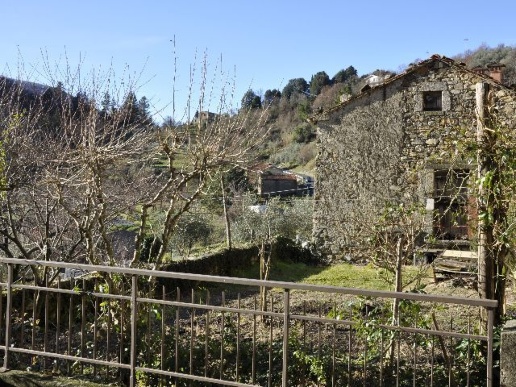 immagine annuncio 6 di 11