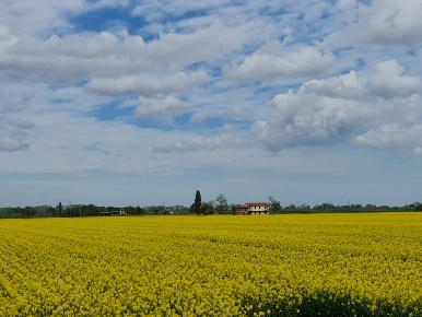 Foto Rustico a Fossombrone con 1 locali in vendita