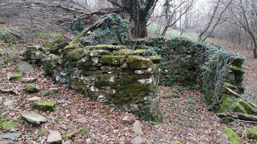 Foto Rustico in Monte Calvo, Santa Fiora di 105 m² con 4 locali in vendita