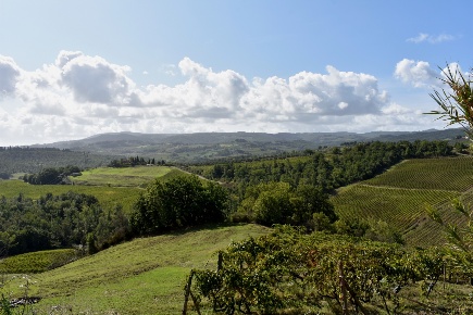 Foto Rustico a Certaldo di 750 m² in vendita