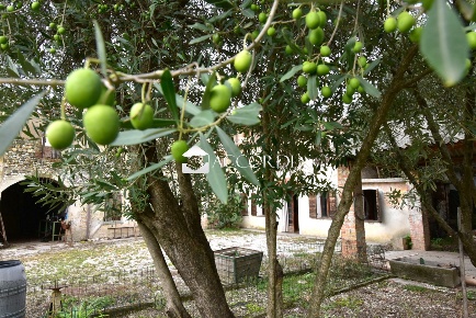 Foto Rustico a Santa Lucia di Piave Centro di 750 m² con 10 locali