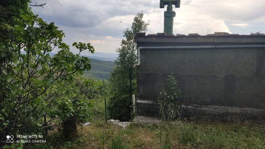 immagine annuncio 5 di 8