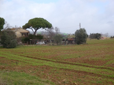 Foto Rustico a Rosignano Marittimo Rosignano Solvay di 170 m² con 8 locali