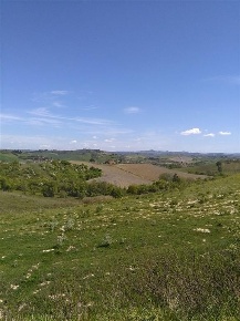 Foto Rustico a Gambassi Terme di 600 m² in vendita
