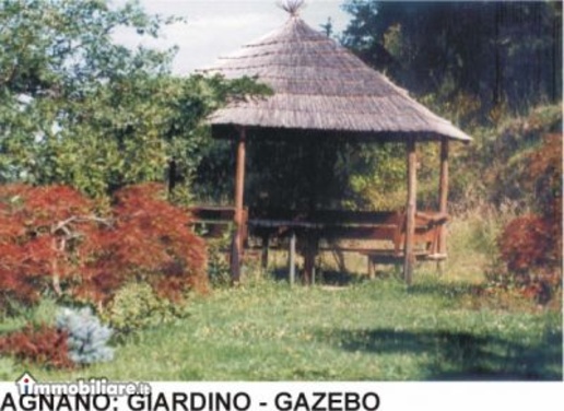 immagine annuncio 3 di 13