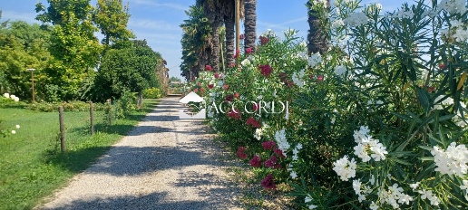 Foto Rustico a Montebelluna di 900 m² con 5 locali in vendita