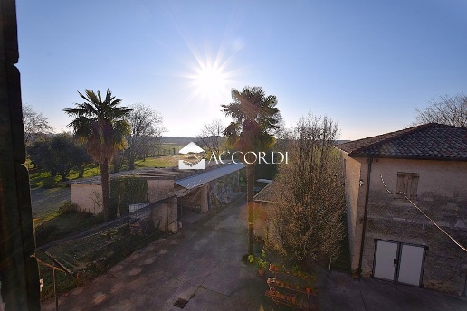 immagine annuncio 2 di 14