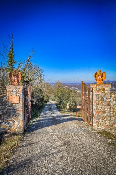 immagine annuncio 3 di 4