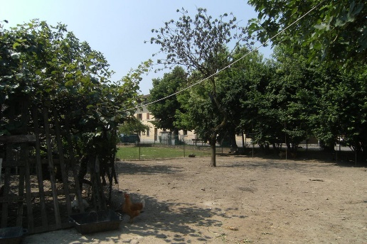 immagine annuncio 4 di 6