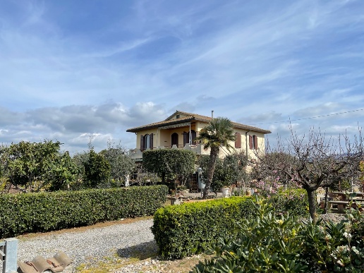 immagine annuncio 8 di 12