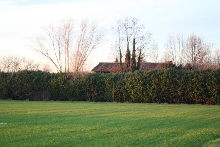 Foto Rustico a Treviglio di 750 m² con 6 locali in vendita