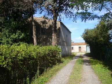 Foto Rustico a Castagneto Carducci di 230 m² con 8 locali in vendita