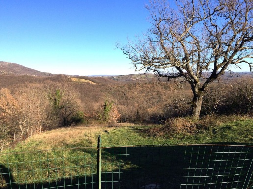 immagine annuncio 12 di 14