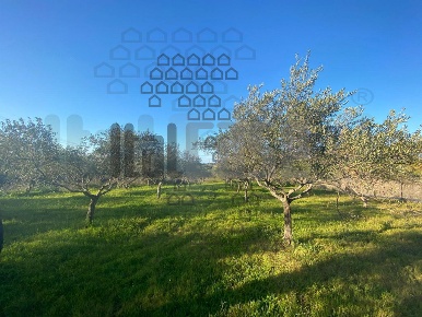 Foto Rustico in Cattafi, Santa Lucia del Mela di 270 m² con 6 locali