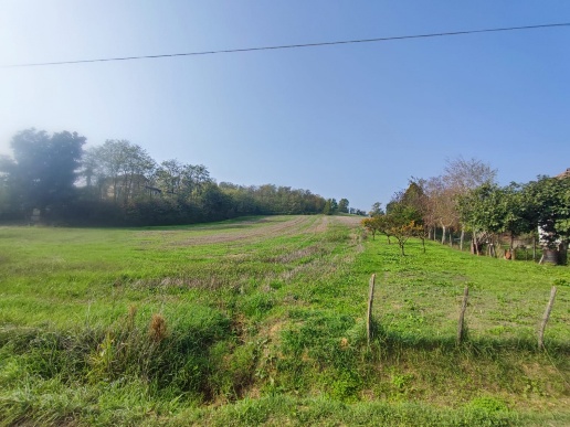 immagine annuncio 2 di 14