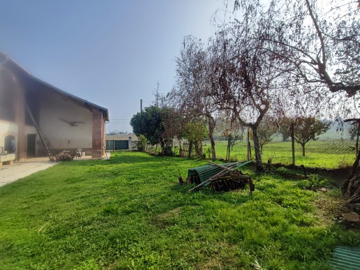 immagine annuncio 3 di 14