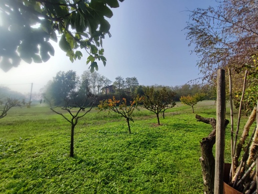 immagine annuncio 4 di 14