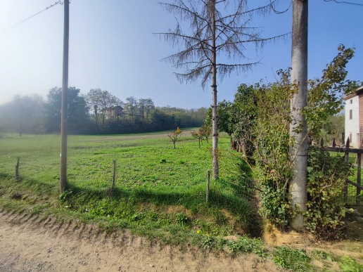 immagine annuncio 12 di 14