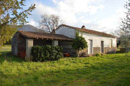 Foto Rustico a Gavorrano di 60 m² con 3 locali in vendita