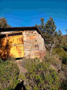 Foto Rustico in LOCALITA' PUNTON DELLA VIGNA, Scansano Centro di 100 m²