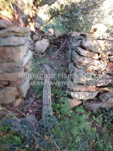 immagine annuncio 4 di 7