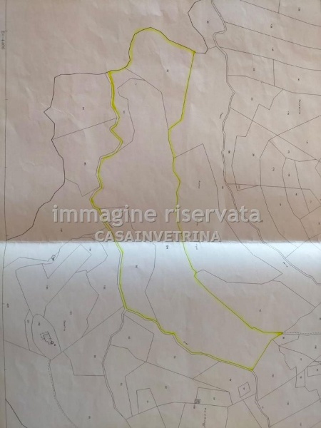 immagine annuncio 5 di 7